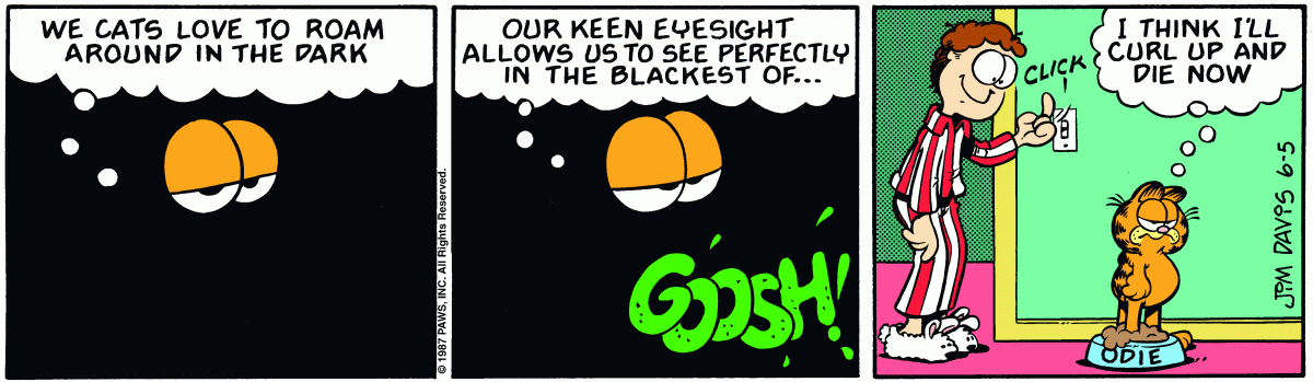 Garfield steps in Odie's food bowl in the dark and decides he'll curl up and die now.